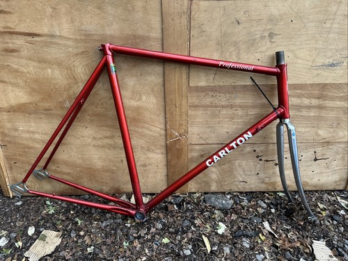 Carlton professional bike - carlton,