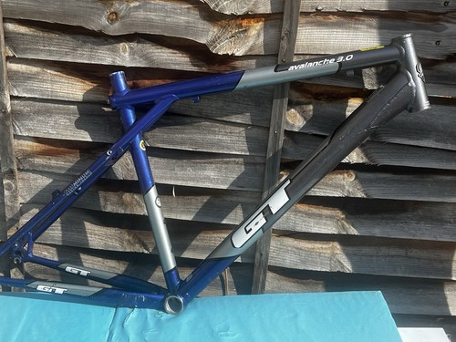 Vintage avalanche bike - gt,