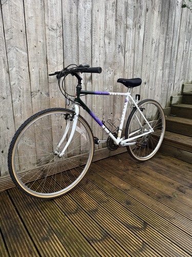Raleigh pioneer spirit - pioneer,