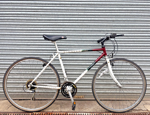 Raleigh pioneer 50cm mountain - raleigh,
