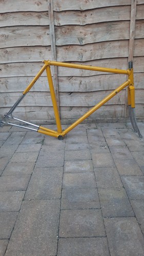 Vintage roy thame campagnolo - vintage,