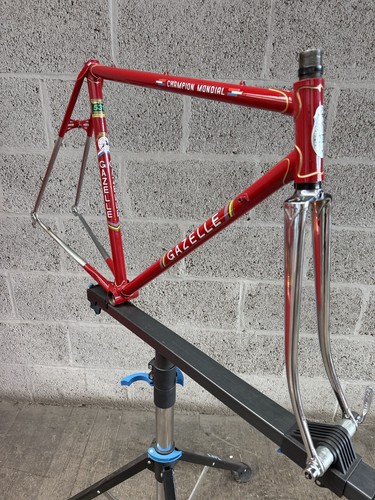 Gazelle red champion - red, mondial