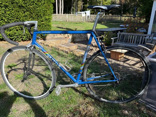 Vintage 1979 gazelle - gazelle, champion