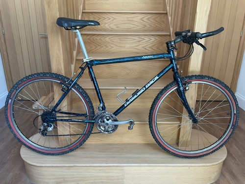 Diamond back ascent 1990 - back,