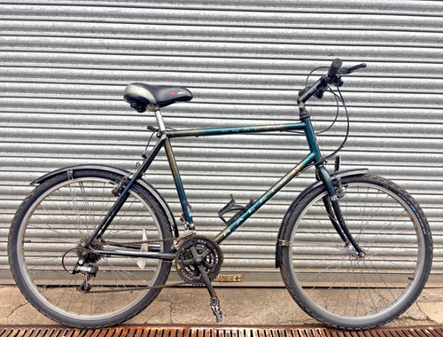 Raleigh amazon 53cm - raleigh, mountain