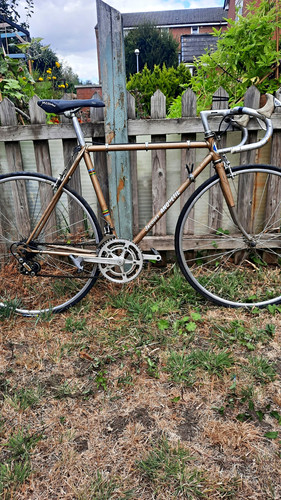 Vintage road bike jacques - road,