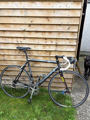 Tifosi vintage road bike - vintage,