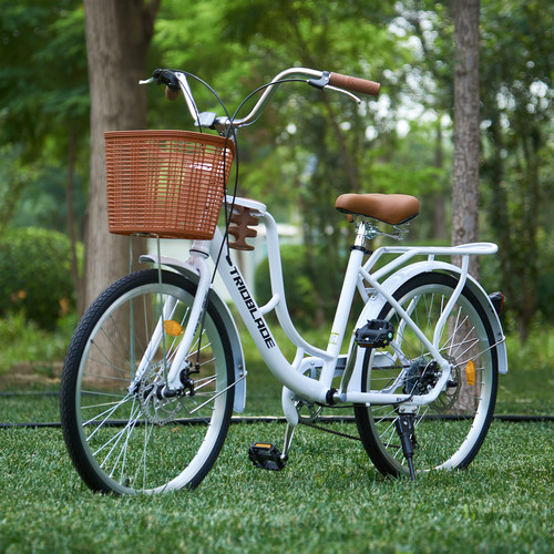 26inch vintage bike adult - vintage,