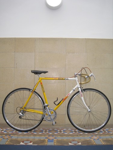 Vintage falcon team - falcon, banana
