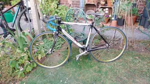 Two vintage racing bikes a - two, at