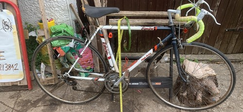 Raleigh equipe classic - classic, road